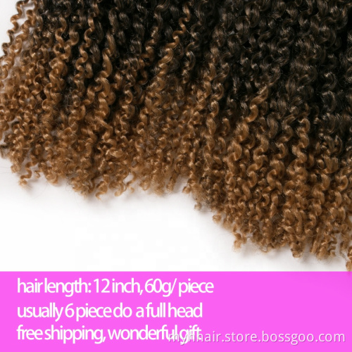 10 Piece 60g/pack synthetic 12 inch curly Braid ombre braiding hair extentions brown,black,bug crochet braids hair Passion Twist